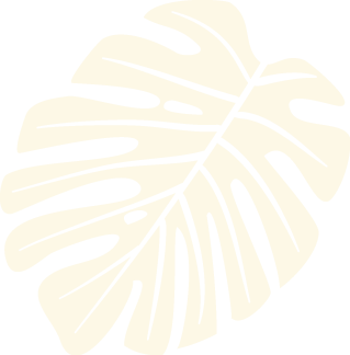section1