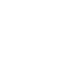 section1