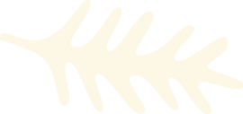 section1