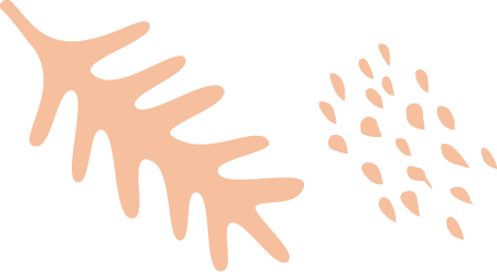 section3-message-bg-1